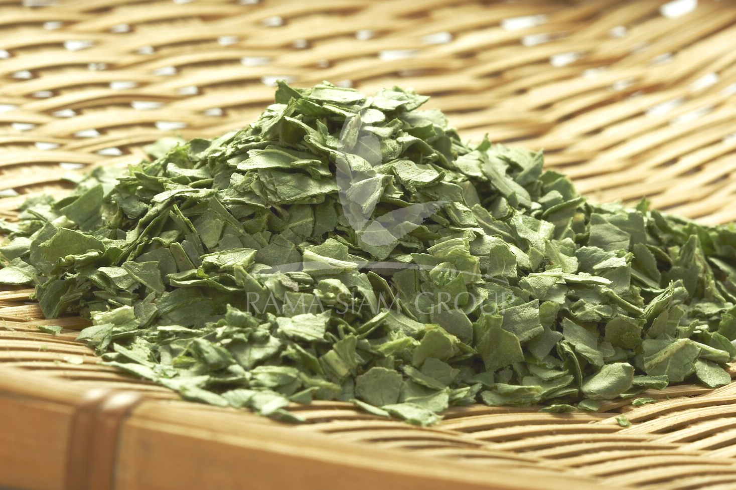 SWEET BASIL LEAVES