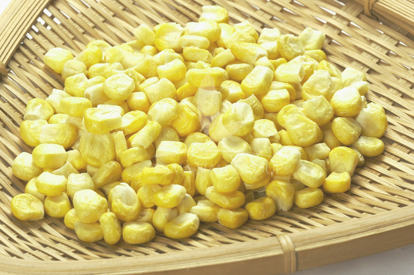 CORN KERNEL