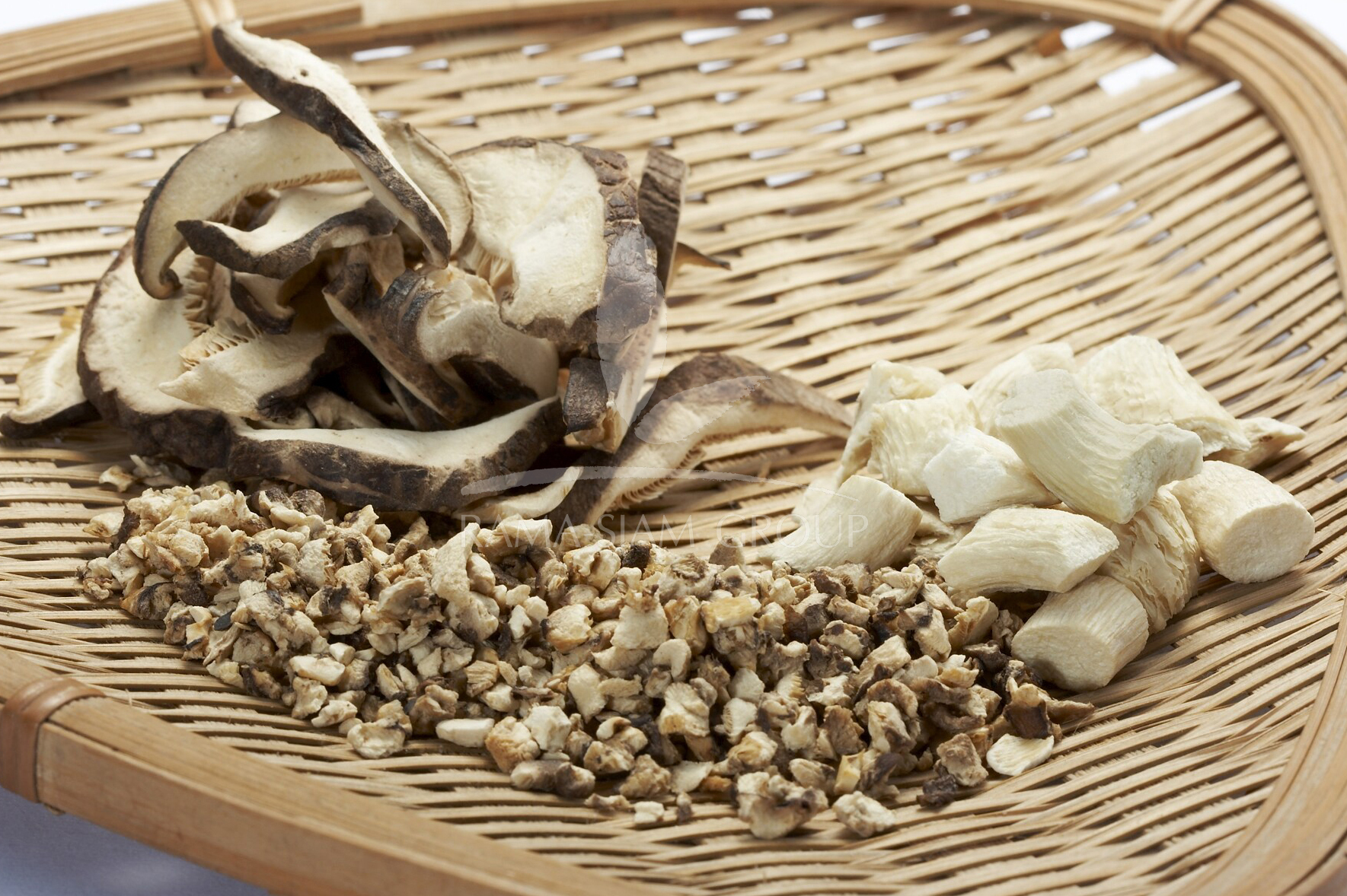 OYSTER MUSHROOM