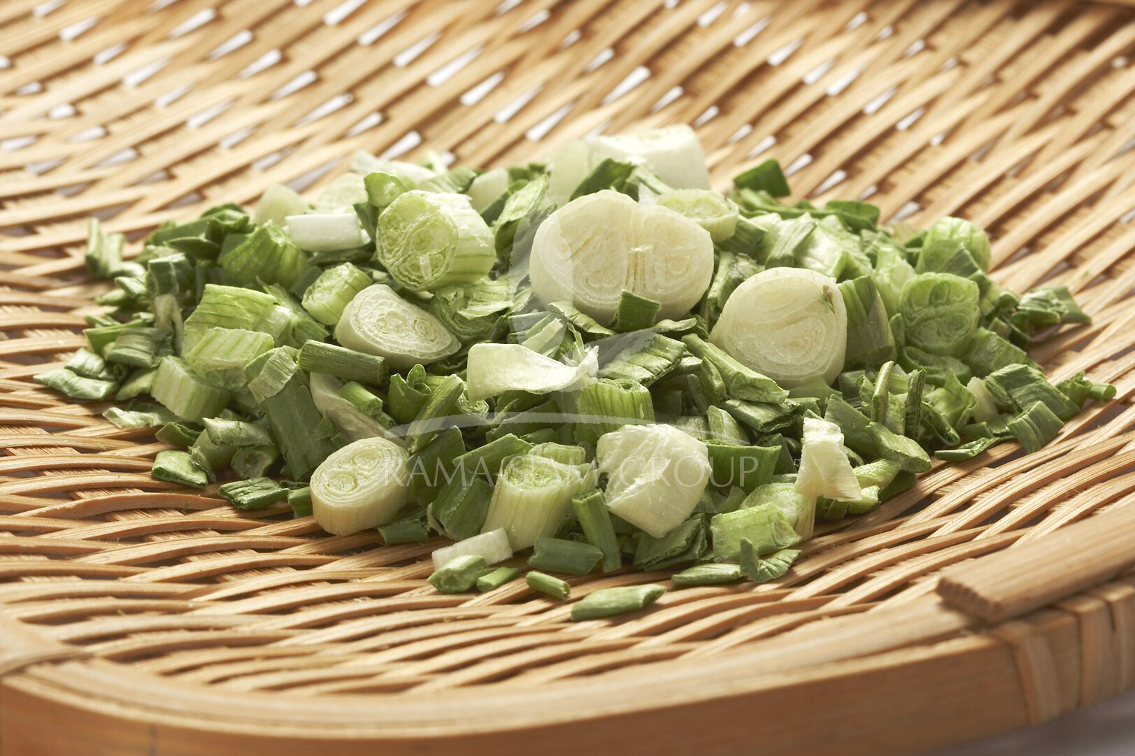 SPRING ONION